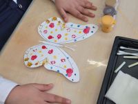 Узоры на крылышках