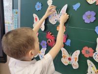 Узоры на крылышках